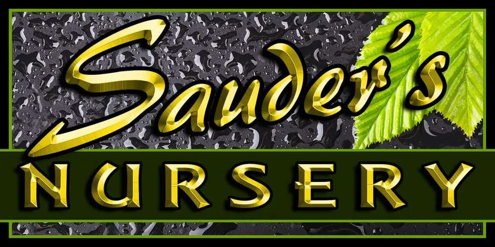 Reliable landscape installation near you across Malvern, PA - Sauder's Nursery