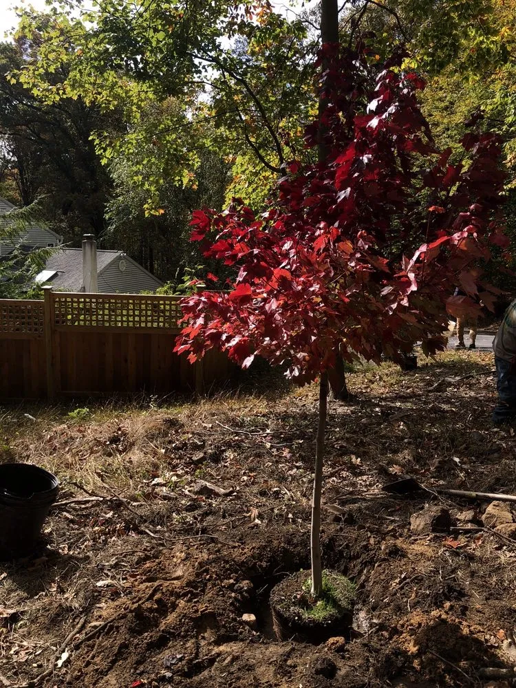 Reliable yard maintenance experts serving Malvern, PA - Sauder's Nursery