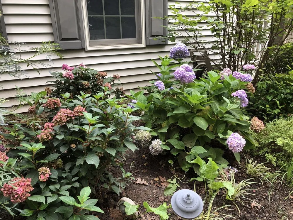 Local landscape installation for year-round maintenance in Malvern, PA by Sauder's Nursery