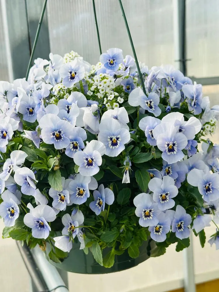 Reliable yard cleanup service in Malvern, PA - Sauder's Nursery