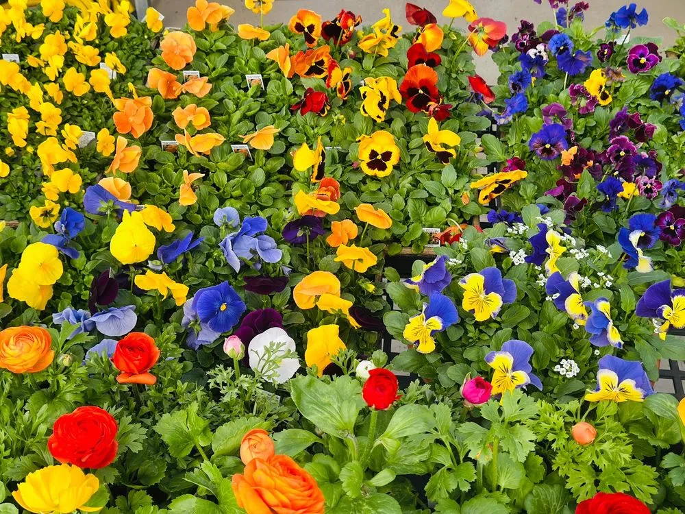 Trusted garden landscaping in Malvern, PA by Sauder's Nursery