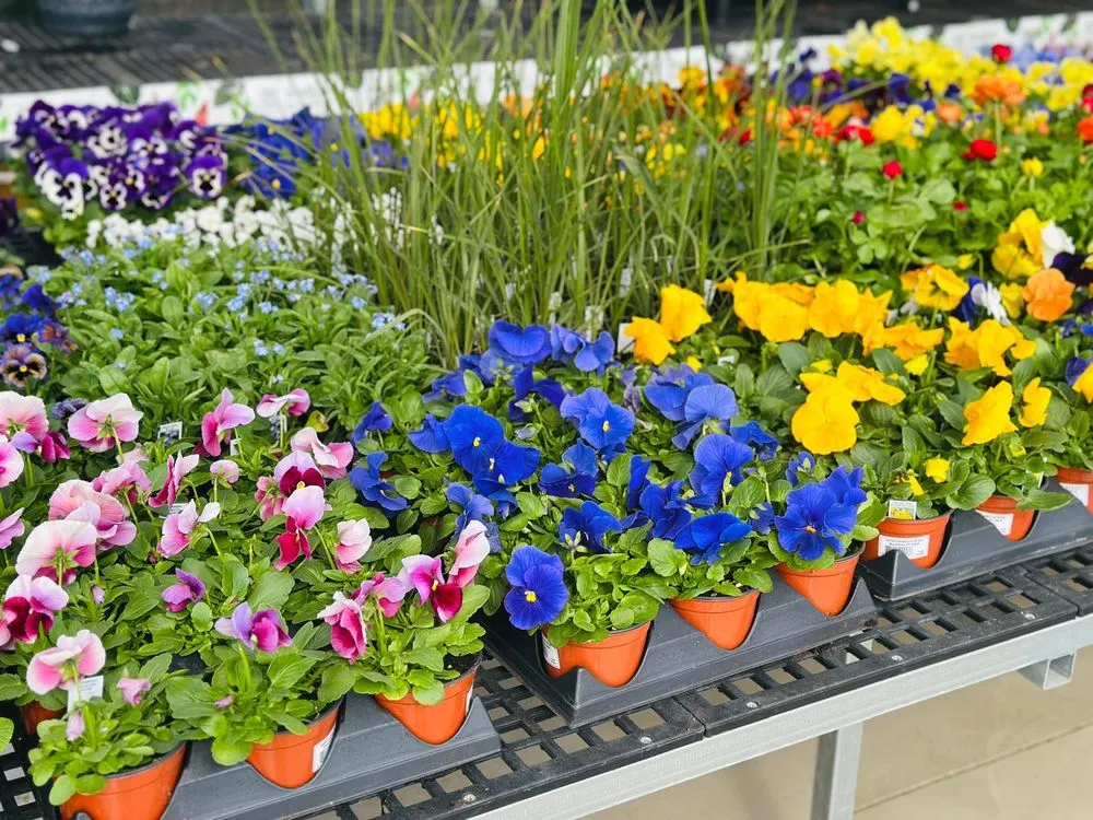 Expert lawn care service in Malvern, PA by Sauder's Nursery