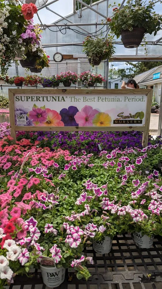 Professional lawn care service with custom design in Malvern, PA by Sauder's Nursery