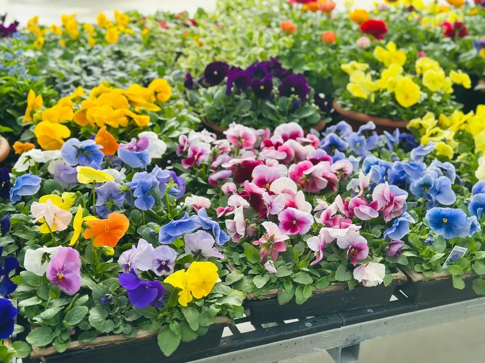 Affordable outdoor landscaping in Malvern, PA - Sauder's Nursery