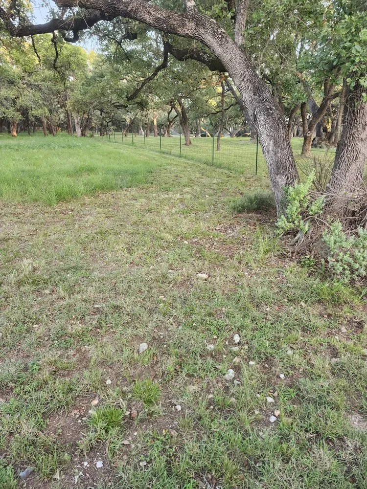 Trusted landscape installation experts serving New Braunfels, TX - Sauer Lawn Care