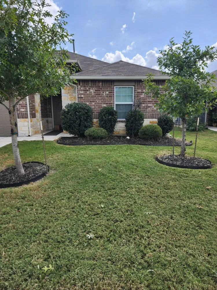 Reliable yard maintenance in New Braunfels, TX - Sauer Lawn Care