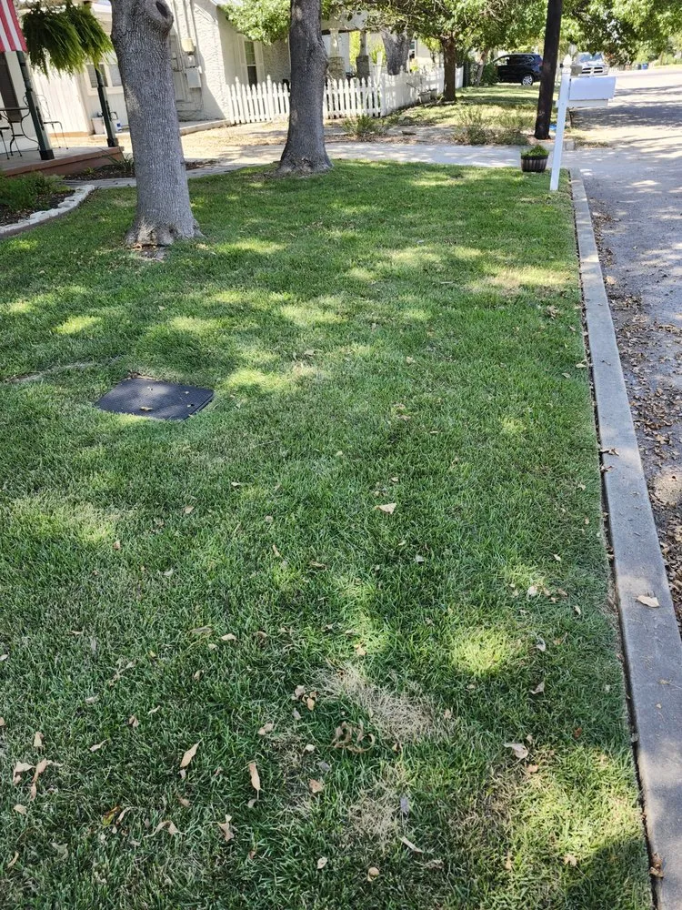 Trusted outdoor landscaping experts serving New Braunfels, TX - Sauer Lawn Care