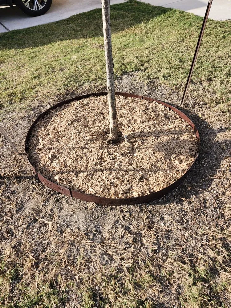 Local yard cleanup service for year-round maintenance across New Braunfels, TX - Sauer Lawn Care