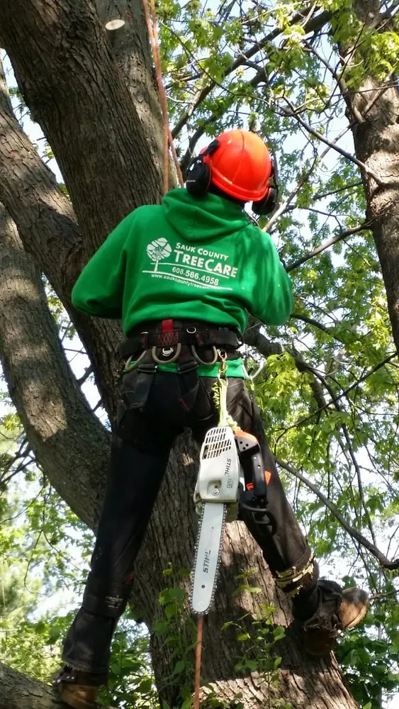Local landscaping services for year-round maintenance across Middleton, WI - Sauk County Tree Care