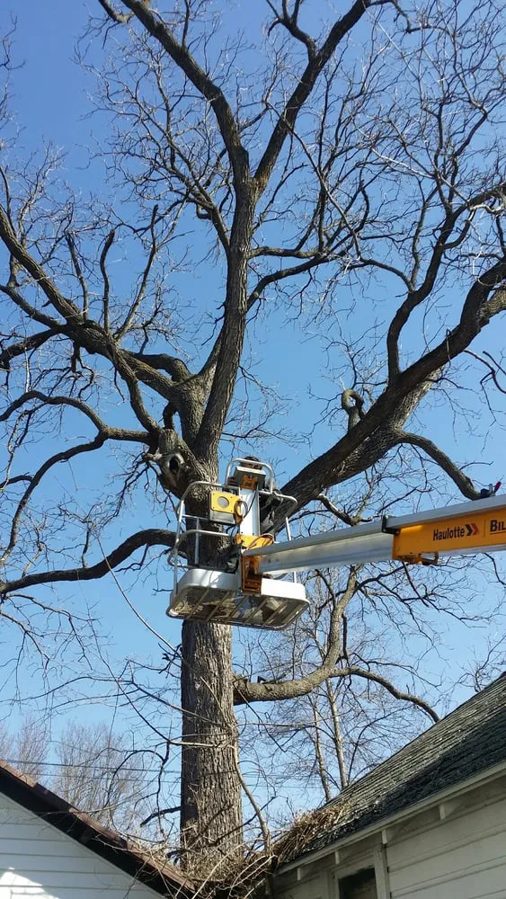 Professional outdoor landscaping experts serving Middleton, WI - Sauk County Tree Care