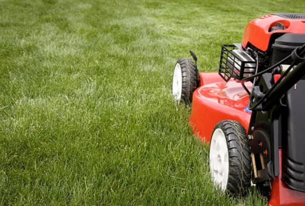 Local garden landscaping experts serving Rock Falls, IL - Sauk Valley Property Maintenance