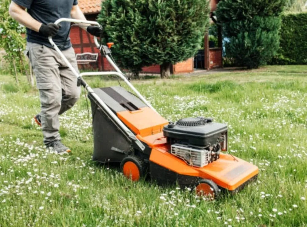 Affordable landscape design for year-round maintenance in Rock Falls, IL by Sauk Valley Property Maintenance