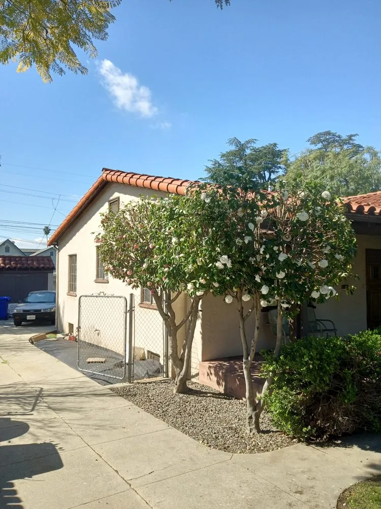 Professional landscape design experts serving Monrovia, CA - Saul Call Landscape