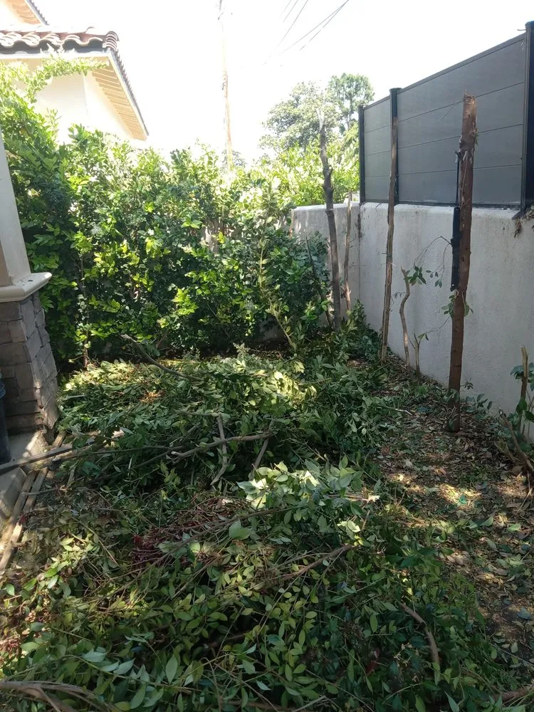 Affordable landscape installation in Monrovia, CA by Saul Call Landscape