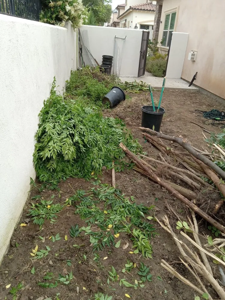 Affordable lawn care service with custom design in Monrovia, CA by Saul Call Landscape