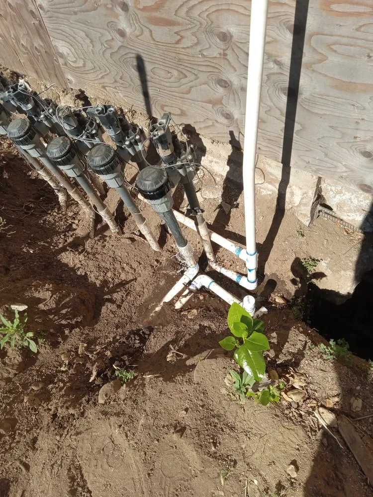 Top-rated yard maintenance for outdoor upgrades in Monrovia, CA by Saul Call Landscape