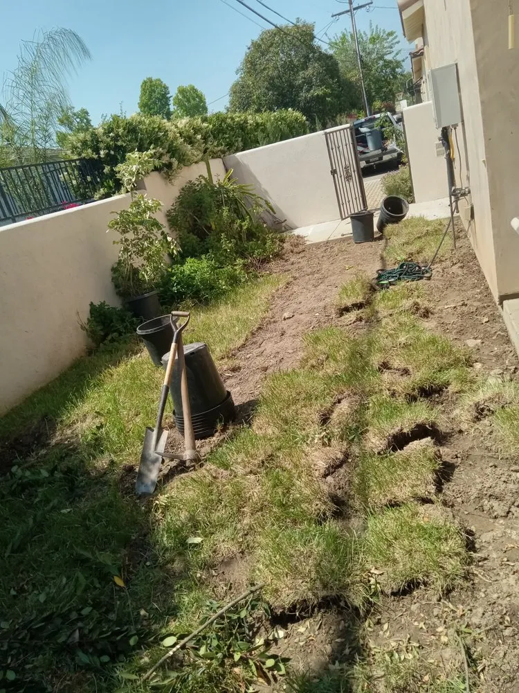 Affordable landscaping services experts serving Monrovia, CA - Saul Call Landscape