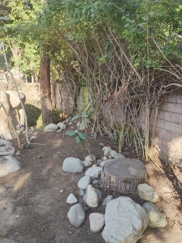 Affordable residential landscaping experts serving Monrovia, CA - Saul Call Landscape