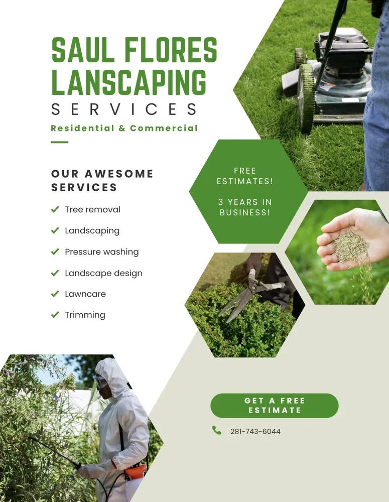 Local yard cleanup service for year-round maintenance across Magnolia, TX - Saul Flores Landscaping