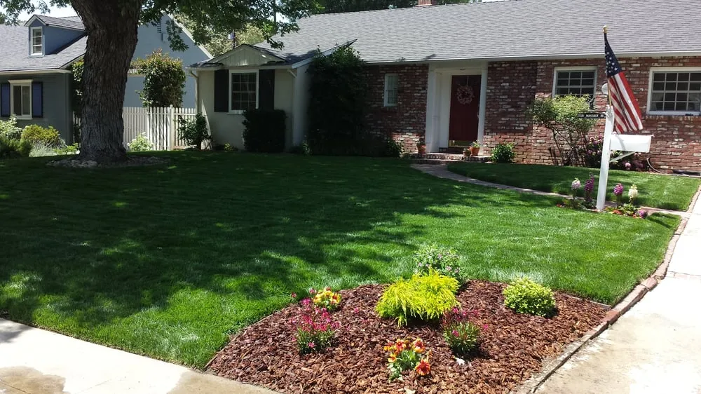 Affordable landscape design experts serving Monrovia, CA - Saul Gonzalez Gardening services