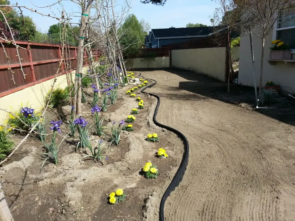 Professional residential landscaping in Monrovia, CA - Saul Gonzalez Gardening services