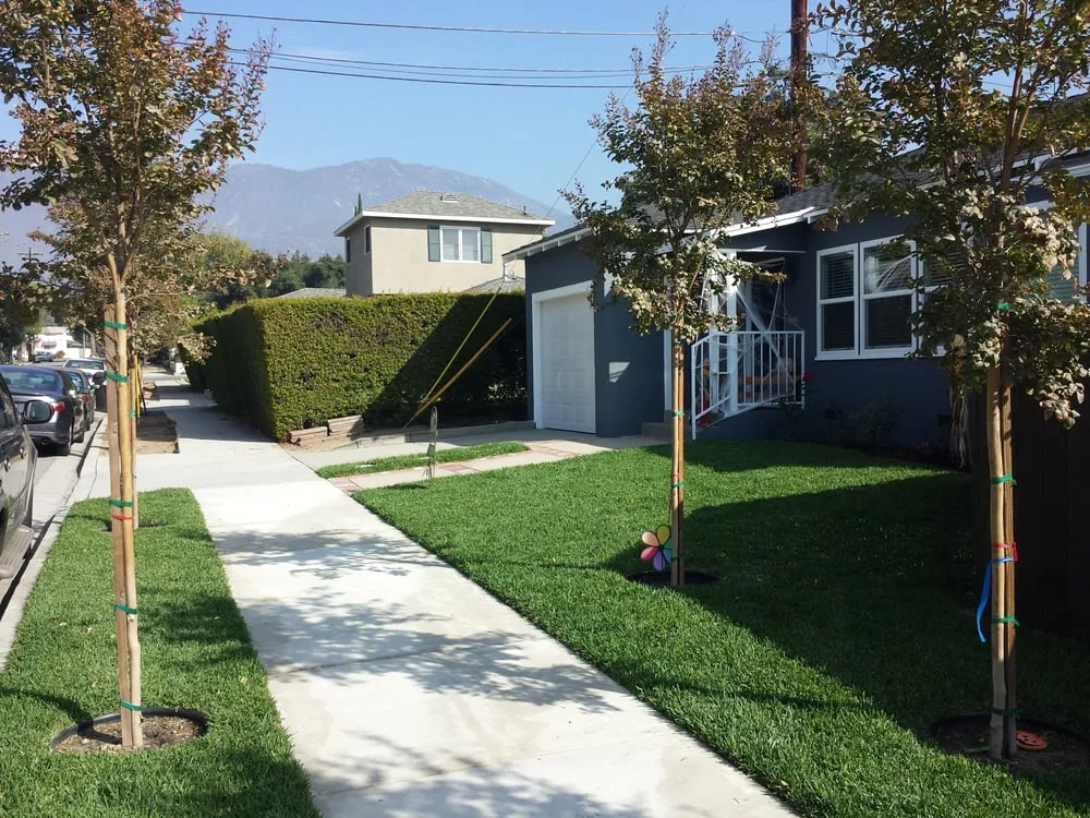 Local lawn care service for outdoor upgrades in Monrovia, CA by Saul Gonzalez Gardening services