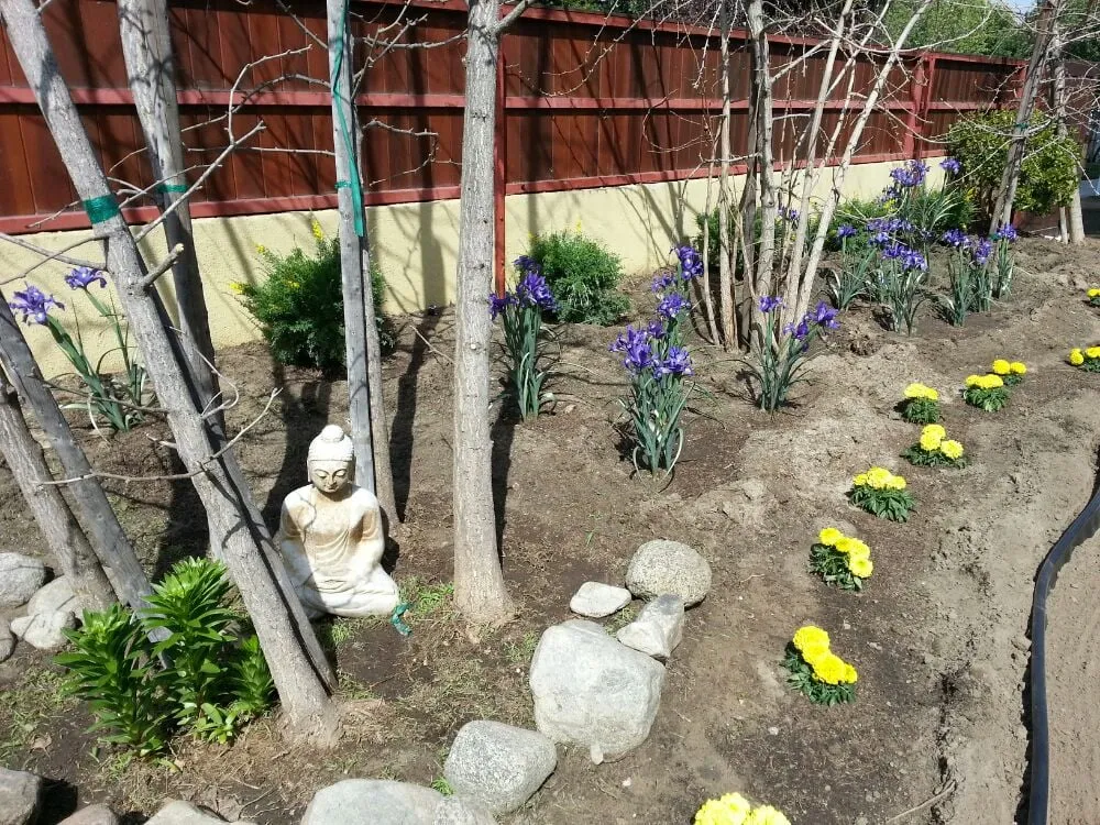 Custom residential landscaping in Monrovia, CA by Saul Gonzalez Gardening services