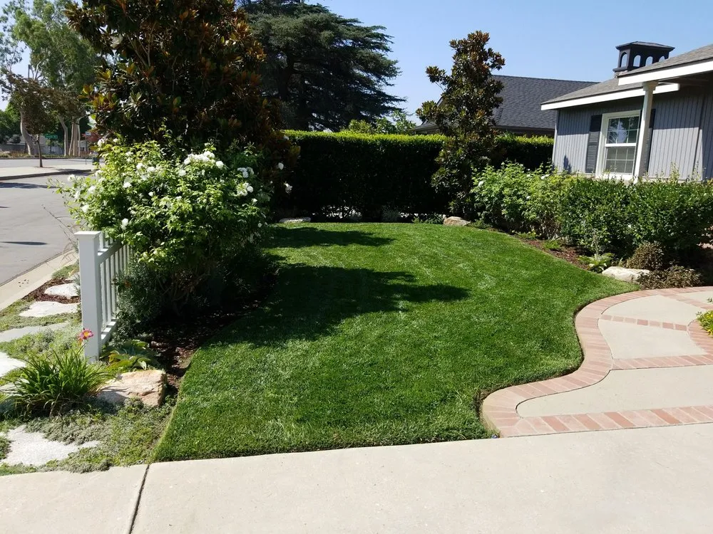 Top-rated yard cleanup service in Monrovia, CA by Saul Gonzalez Gardening services