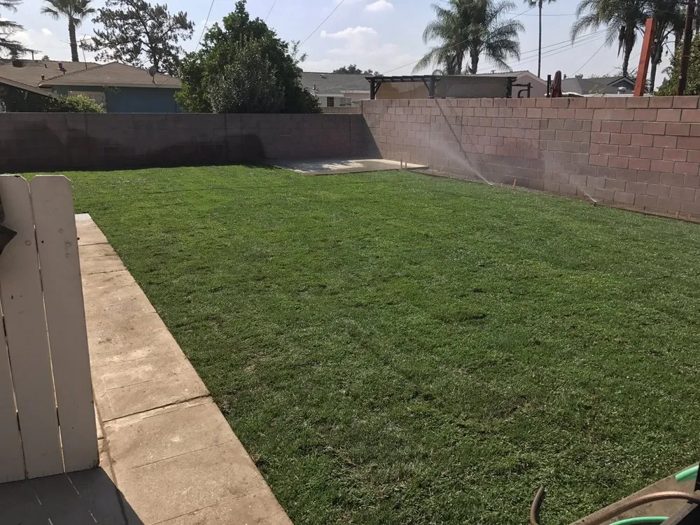 Custom residential landscaping for year-round maintenance in Monrovia, CA by Saul Gonzalez Gardening services