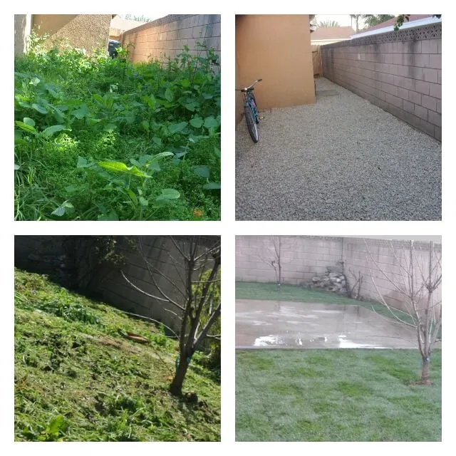 Reliable landscaping services near you across Monrovia, CA - Saul Gonzalez Gardening services