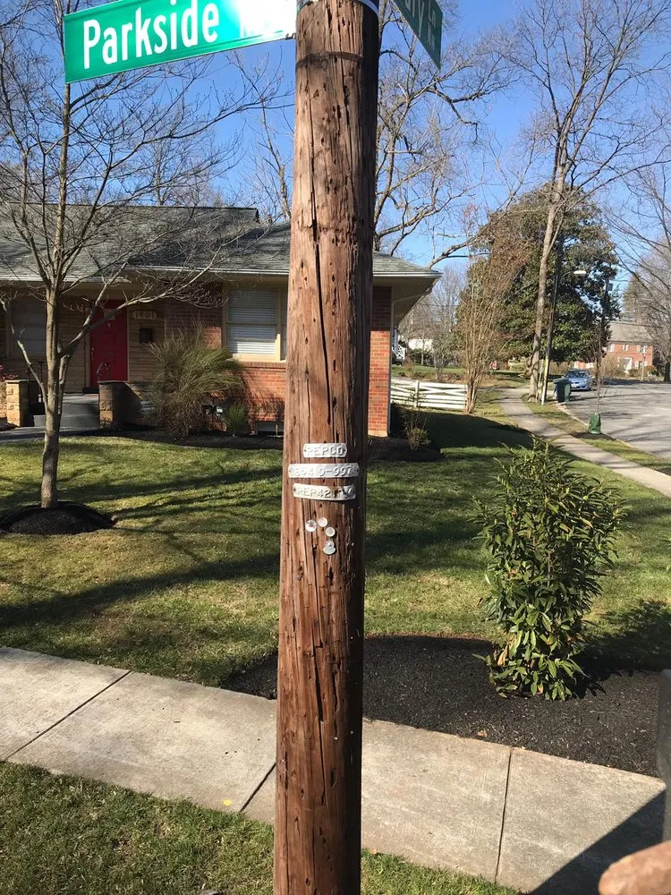 Local lawn care service in Silver Spring, MD by Saul Landscape and Stone