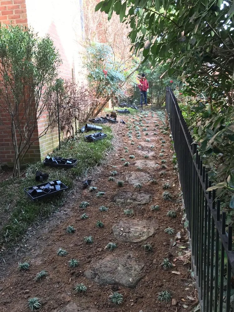 Affordable yard maintenance experts serving Silver Spring, MD - Saul Landscape and Stone