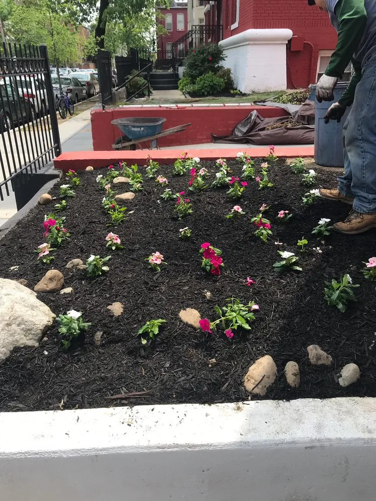 Reliable landscape installation for residential properties across Silver Spring, MD - Saul Landscape and Stone
