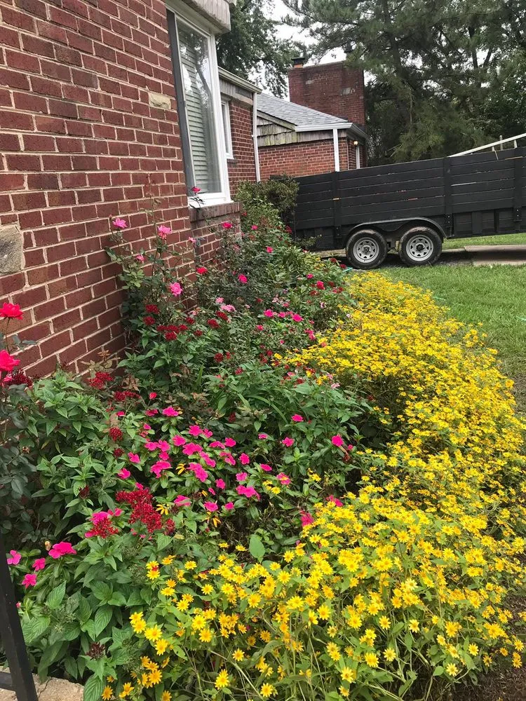 Top-rated landscaping services near you in Silver Spring, MD by Saul Landscape and Stone