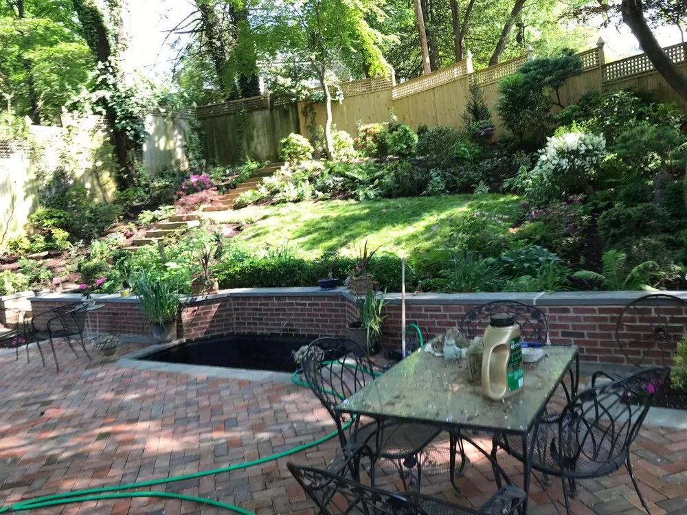 Trusted yard cleanup service experts serving Silver Spring, MD - Saul Landscape and Stone