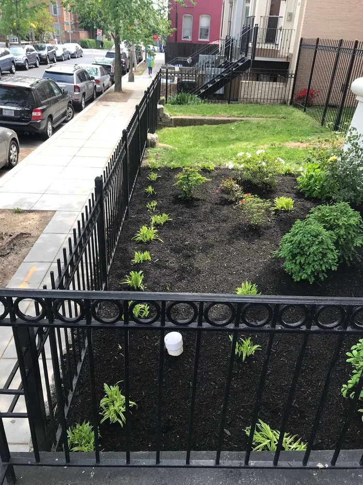 Reliable landscape design in Silver Spring, MD - Saul Landscape and Stone