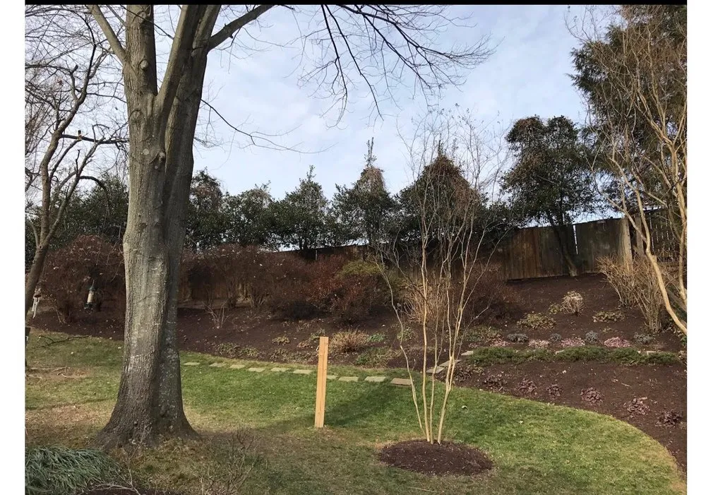 Local outdoor landscaping in Silver Spring, MD by Saul Landscape and Stone