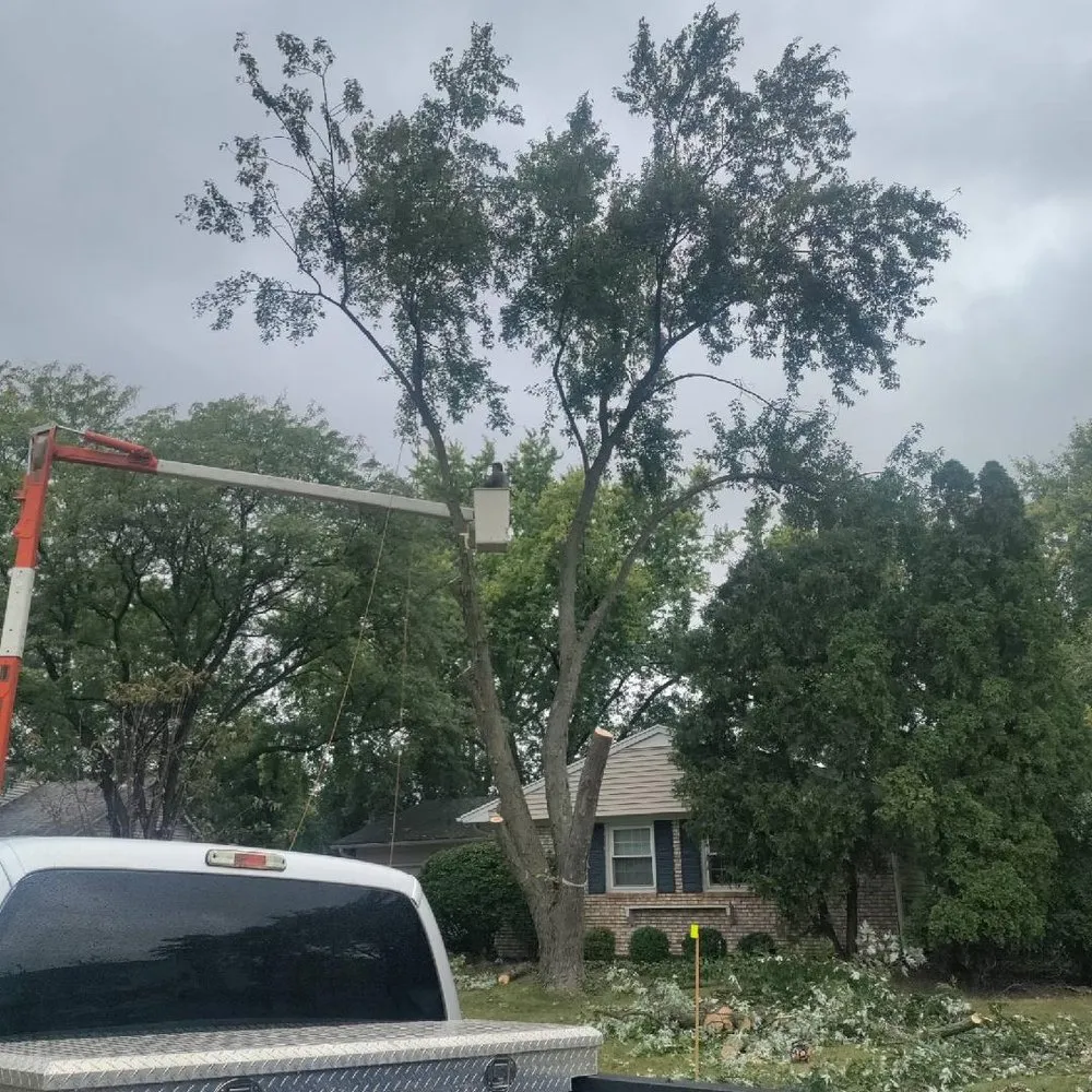 Top-rated landscape design in Wheeling, IL by Saul Landscaping