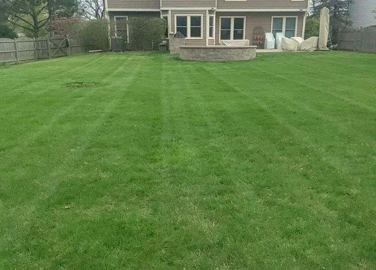 Affordable yard cleanup service experts serving Wheeling, IL - Saul Landscaping