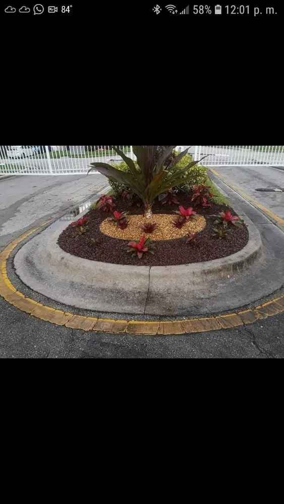 Top-rated garden landscaping experts serving Lake Worth, FL - Saul Momotic Landscape