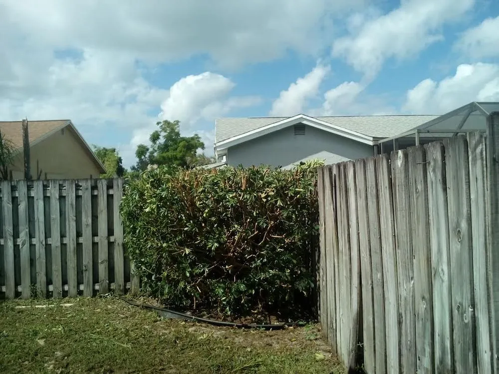 Affordable landscaping services in Lake Worth, FL by Saul Momotic Landscape