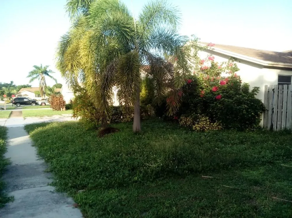 Custom landscape installation with custom design across Lake Worth, FL - Saul Momotic Landscape
