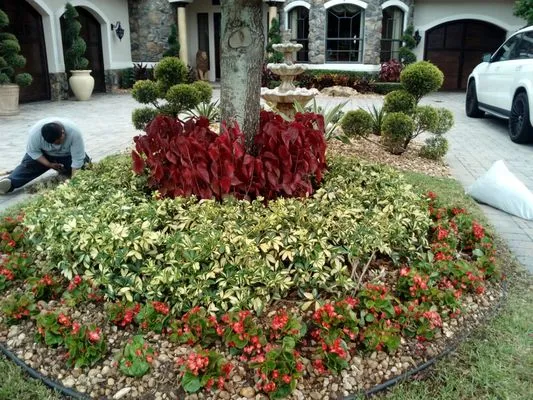 Saul Momotic Landscape Logo