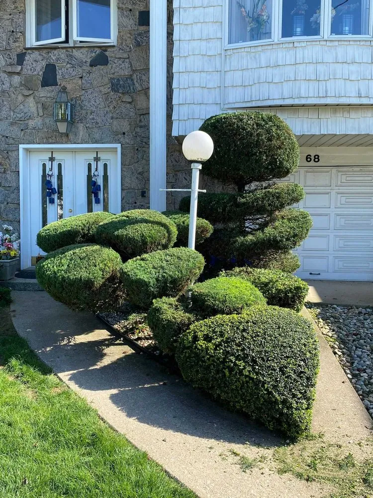 Professional residential landscaping near you across Plainfield, NJ - Saul Perez
