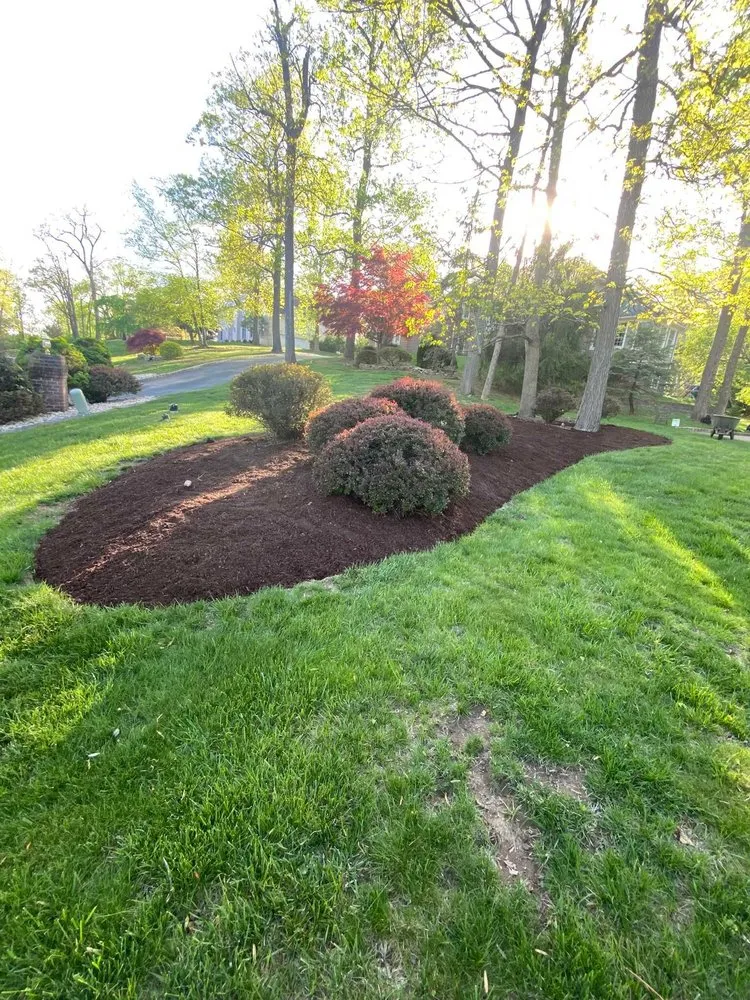 Reliable lawn mowing service for residential properties across Plainfield, NJ - Saul Perez