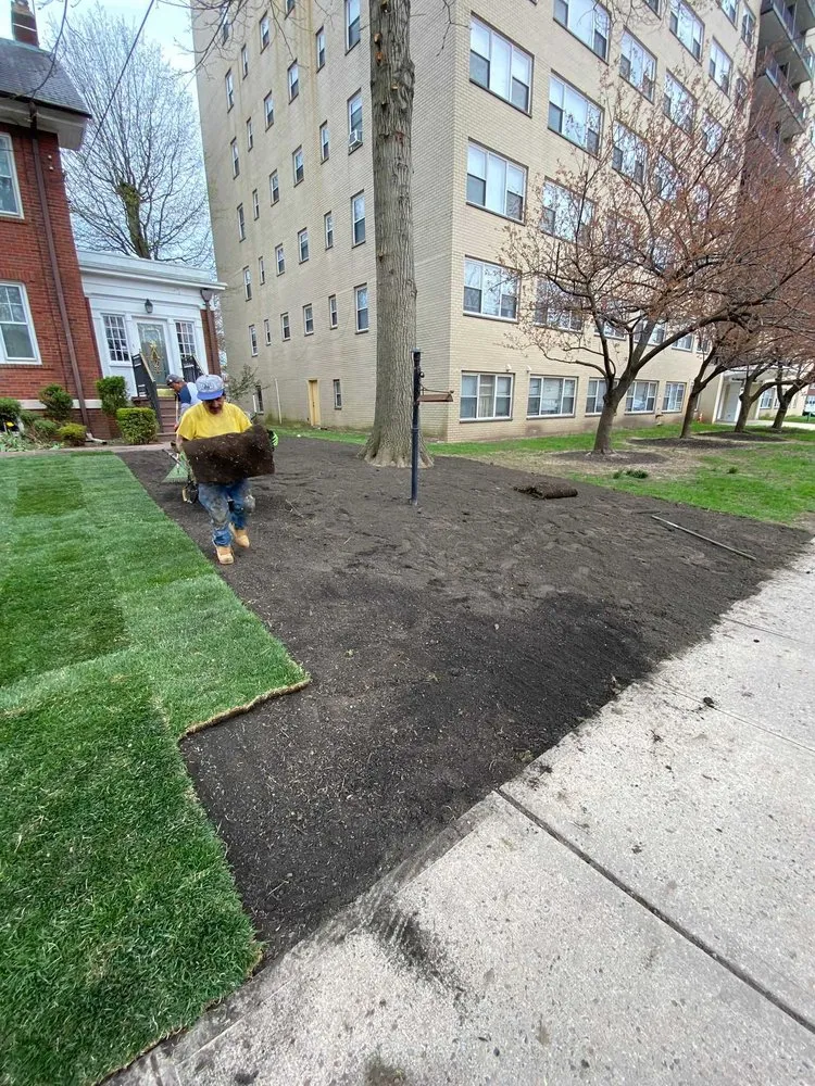 Trusted garden landscaping in Plainfield, NJ - Saul Perez