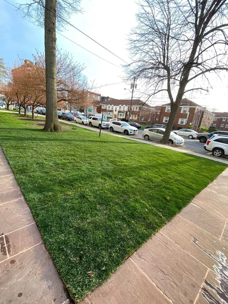 Local yard cleanup service experts serving Plainfield, NJ - Saul Perez