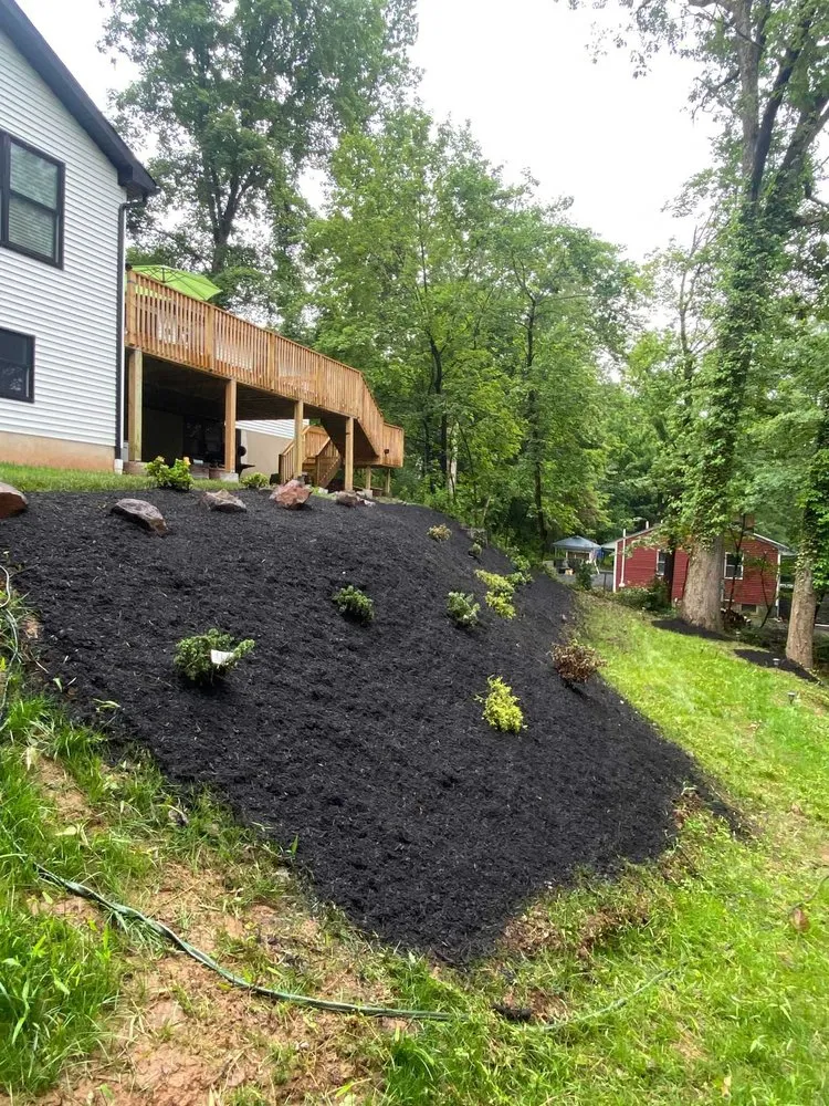 Expert lawn care service in Plainfield, NJ by Saul Perez