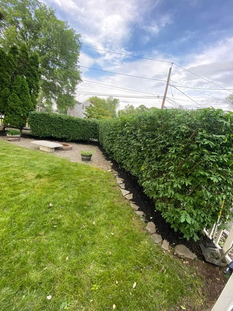 Expert landscape installation for year-round maintenance across Plainfield, NJ - Saul Perez