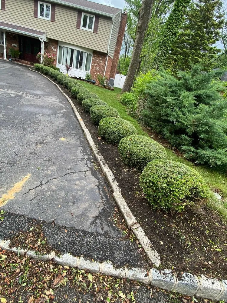 Trusted yard maintenance in Plainfield, NJ - Saul Perez